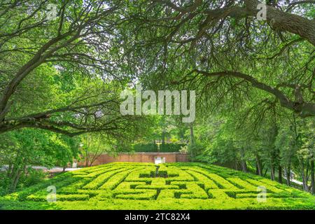 WILLIAMSBURG, VIRGINIA, USA - MAY 8, 2023: The hedge maze of the Governor's Palace. The palace was the official residence of the royal governors of th Stock Photo