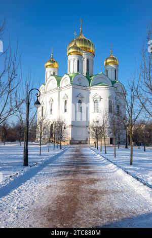 St. Catherine's Cathedral on a winter day. Tsarskoye Selo (Pushkin), Russia Stock Photo