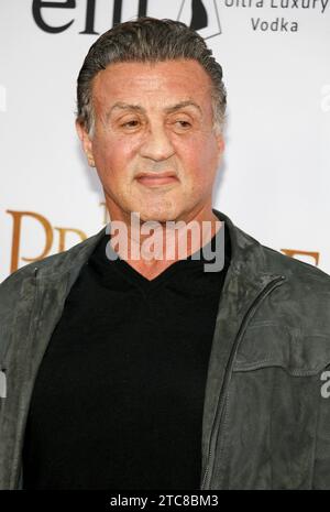 Red carpet with US actor Sylvester Stallone poses as he arrives for the ...