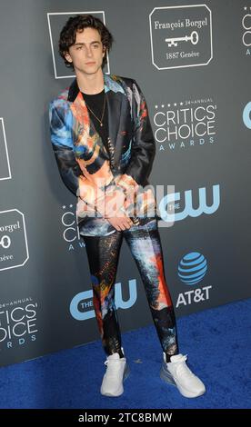 Timothee Chalamet at the 24th Annual Critics' Choice Awards held at the Barker Hangar in Santa Monica, USA on January 13, 2019 Stock Photo