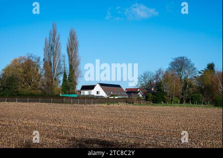 Harvested corn field and farmhouse against blue sky around Meise, Flemish Brabant Region, Belgium Credit: Imago/Alamy Live News Stock Photo