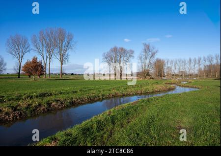Bending creek through the wetlands and meadows at the Flemish countryside around Imde, Meise, Belgium Credit: Imago/Alamy Live News Stock Photo