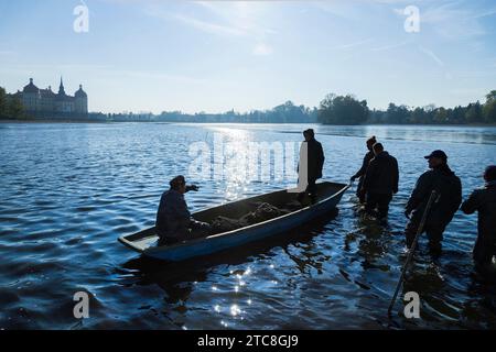 Fishing of the castle pond in Moritzburg Stock Photo