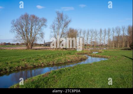 Bending creek through the wetlands and meadows at the Flemish countryside around Imde, Meise, Belgium Stock Photo