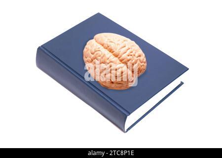 Blue notebook with human brain anatomical model isolated on white ...