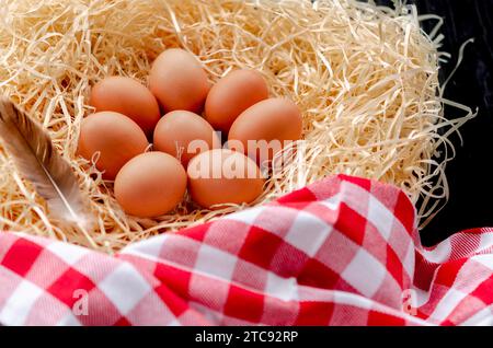 Brown chicken eggs lying in the nest. fresh chicken eggs Stock Photo