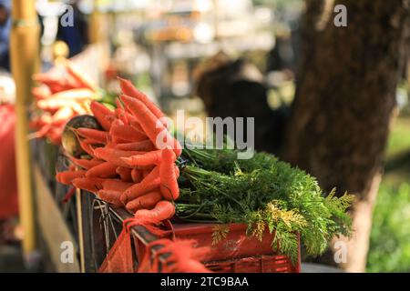 Bunch of fresh carrots placed on stall in local market stall on street market Stock Photo