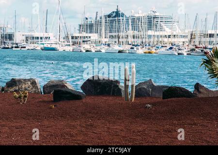 Lanzarote, Spain - November 25, 2023: MSC Seaview at anchor in Lanzarote during a 14 night trip from Brazil to Spain. Cactus on foreground Stock Photo