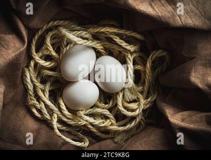 three white eggs resting in a nest made of rope sitting on a piece of brown cloth Stock Photo