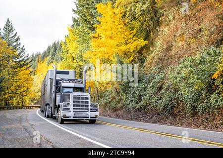 Classic heavy duty black American bonnet big rig semi truck tractor with massive grille guard and semi trailer for carry animal driving on the narrow Stock Photo