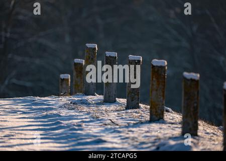 Concrete posts on a forest road in winter. Stock Photo