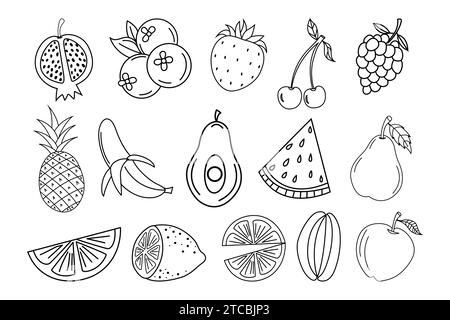 vector engraving hand drawn fruit collection Stock Vector