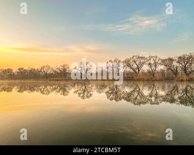 The winter scenery of the Grand Canal Forest Park in morning in Beijing, China, 9 December, 2023. Stock Photo