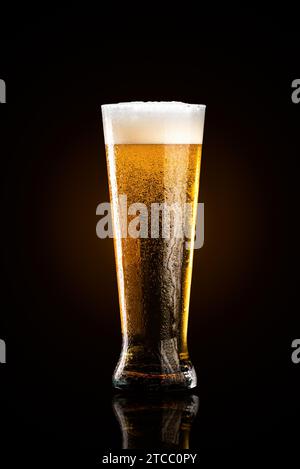 Glass of cold golden beer isolated on a black background Stock Photo
