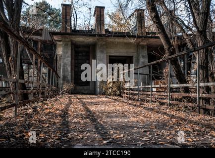 Abandoned building in an infected area with trees in Chernobyl Ukraine in autumn Stock Photo