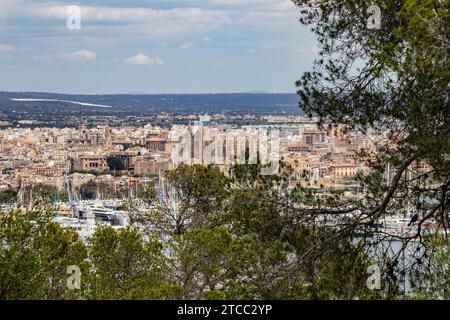 Scenic view from castle Bellver at Palma on balearic island Mallorca, Spain on a sunny day Stock Photo