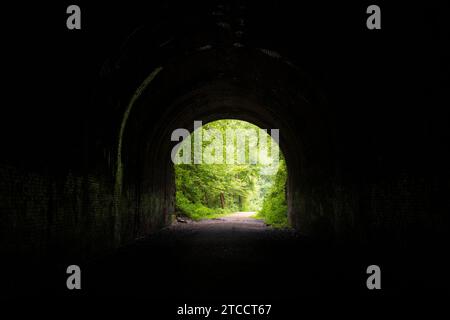 A view from inside Moonville Tunnel with the black arch walls filling the edges and a small bright opening onto green woods and a trail beyond, Ohio. Stock Photo