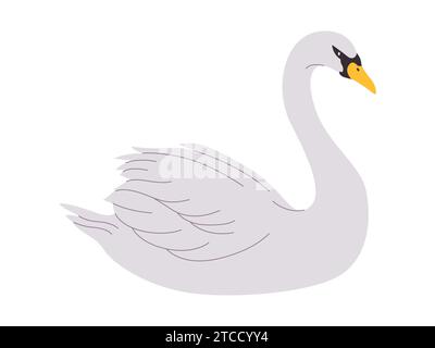 white color whooper swan bird wild nature animal have beak and long neck with beautiful feather Stock Vector