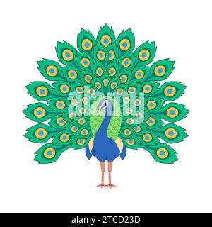 indian peafowl bird nature animal with open showing beautiful body adornment elegant tail pretty feather Stock Vector
