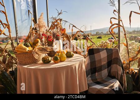 Beautifully decorated dining table with pumpkins and springs of viburnum during autumn season. Front view of round table and chair autumnal decorated Stock Photo