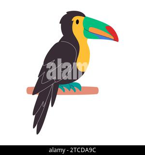 black body and colorful beak bird keel billed toucan species pretty cute nature animal wildlife creature Stock Vector