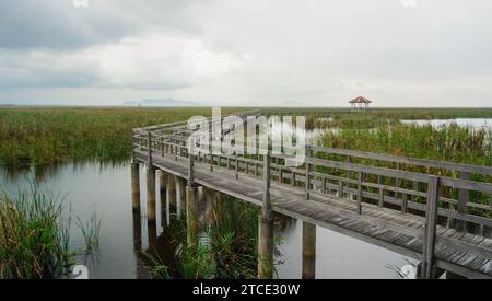 Wooden walkway and pavilion in the middle of freshwater marsh, blue sky, cloudy and prohibition Signs. Sam Roi Yot Freshwater Marsh or Bueng Bua Khao Stock Photo