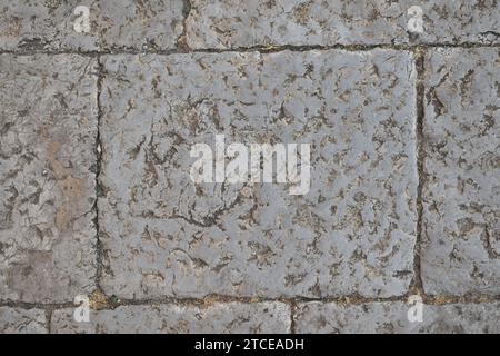 White-grey stone brick on the ground on the Piazza Pretoria in the Sicilian city of Palermo Stock Photo