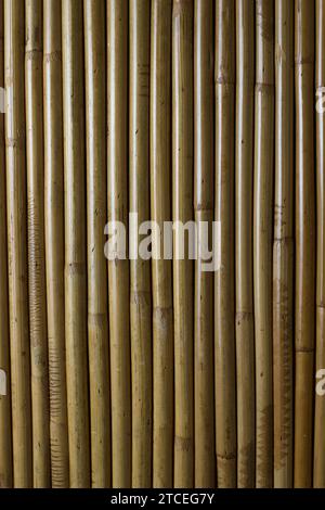 background of lined bamboo trunks in yellow tone with vertical texture Stock Photo
