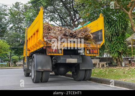 The truck is carrying in the back the remains of flower plants after cleaning in a city park Stock Photo