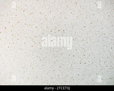 Terrazzo surface and texture. Suitable for background. Stock Photo