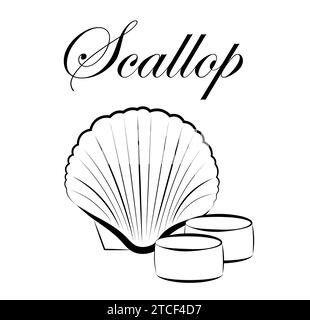Scallops on a white background Stock Vector