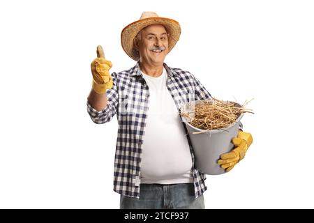 Happy mature farmer holding a bucket full of hay and gesturing thumbs up isolated on white background Stock Photo