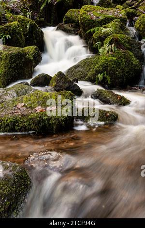 Cleddon Shoots or Waterfall, Wye Valley AONB, Monmouthshire, Wales Stock Photo