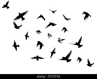 Flying birds silhouette flock. hand drawing. Not AI. Vector illustration Stock Vector