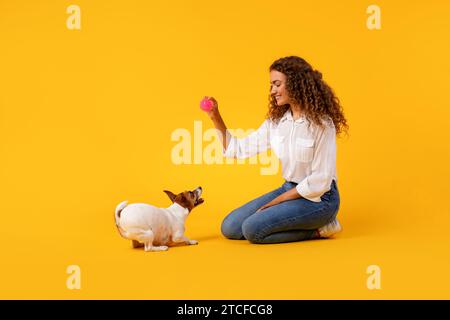Curly-haired woman playing with dog on yellow background Stock Photo