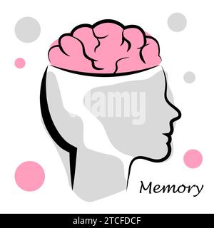 Female head with brain on white background Stock Vector