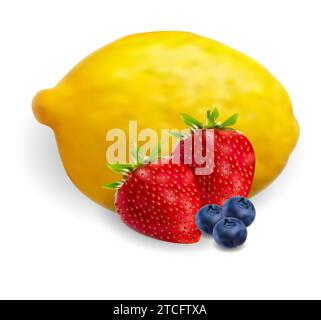Fresh fruit mix, vector illustration. Lemon, strawberry, blueberry photo-realistic cocktail. Natural organic healthy diet ingredient set. Fresh citrus Stock Vector