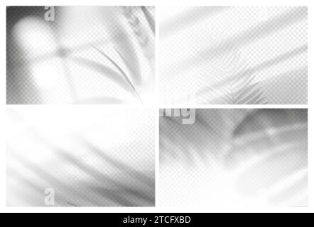 Shadow overlay effect backgrounds set. Vector realistic palm and plant leaves with sunlight from window and gray shades on wall. Tropical plants foliage, floral or tree branches shadows on floor. Stock Vector