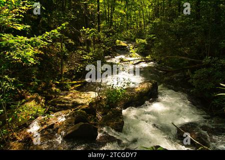 A view of water stream gushing past rocks and wood down hill in Unicoi state park near Helen in Georgia, USA Stock Photo