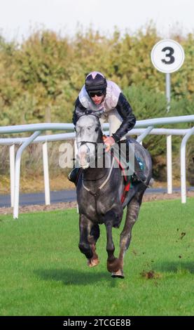 Down Royal Racecourse, Lisburn, Northern Ireland. 10th Nov 2023. The Ladbrokes Festival of Racing (Day 1) - the BOTTLEGREEN HURDLE (GRADE 3). Racehorse Irish Point (1) ridden by jockey Jack Kennedy. Stock Photo