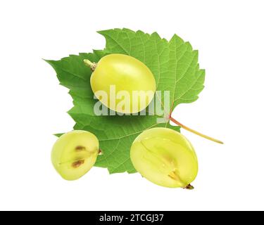 Delicious fresh grapes and green leaf falling on white background Stock Photo