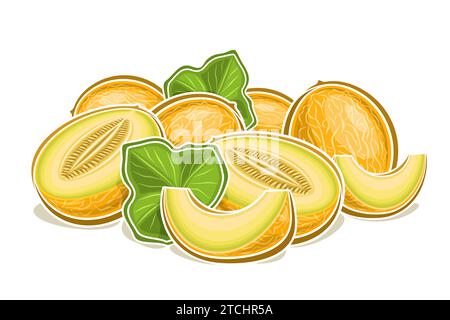 Vector logo for Melon, decorative horizontal poster with illustration of ripe melon composition with green leaves, cartoon design fruity print with ch Stock Vector