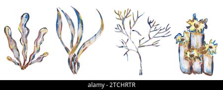 Acrylic hand painted corals illustration set, golden graphic liner ...