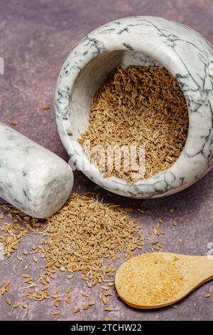 Whole dried anise (Pimpinella anisum) seeds in a ceramic mortar and pestle, with ground anise and star anise Stock Photo