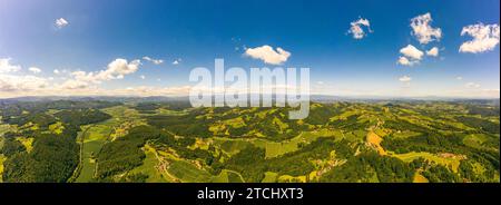 Aerial panorama of of green hills and vineyards with mountains in background. Austria vineyards landscape. Leibnitz area in south Styria, wine Stock Photo