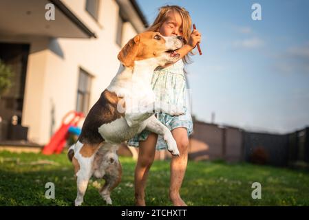 Baby girl running with beagle dog in garden on summer day. Domestic animal with children concept. Dog chasing child with a tennis ball Stock Photo