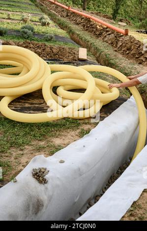 Groundwater drainage works in the field. A worker carries a yellow perforated drainage pipe. Stock Photo