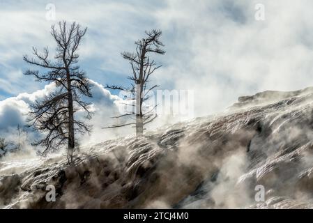 Landscape of Mammoth Hot Springs in Yellowstone National Park Stock Photo