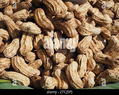 Close up of peanuts in shell Stock Photo