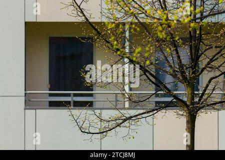 Dresden prefabricated building refurbishment Stock Photo